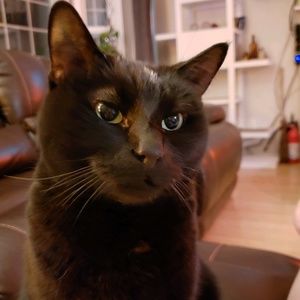 Meet your Posher, Molly